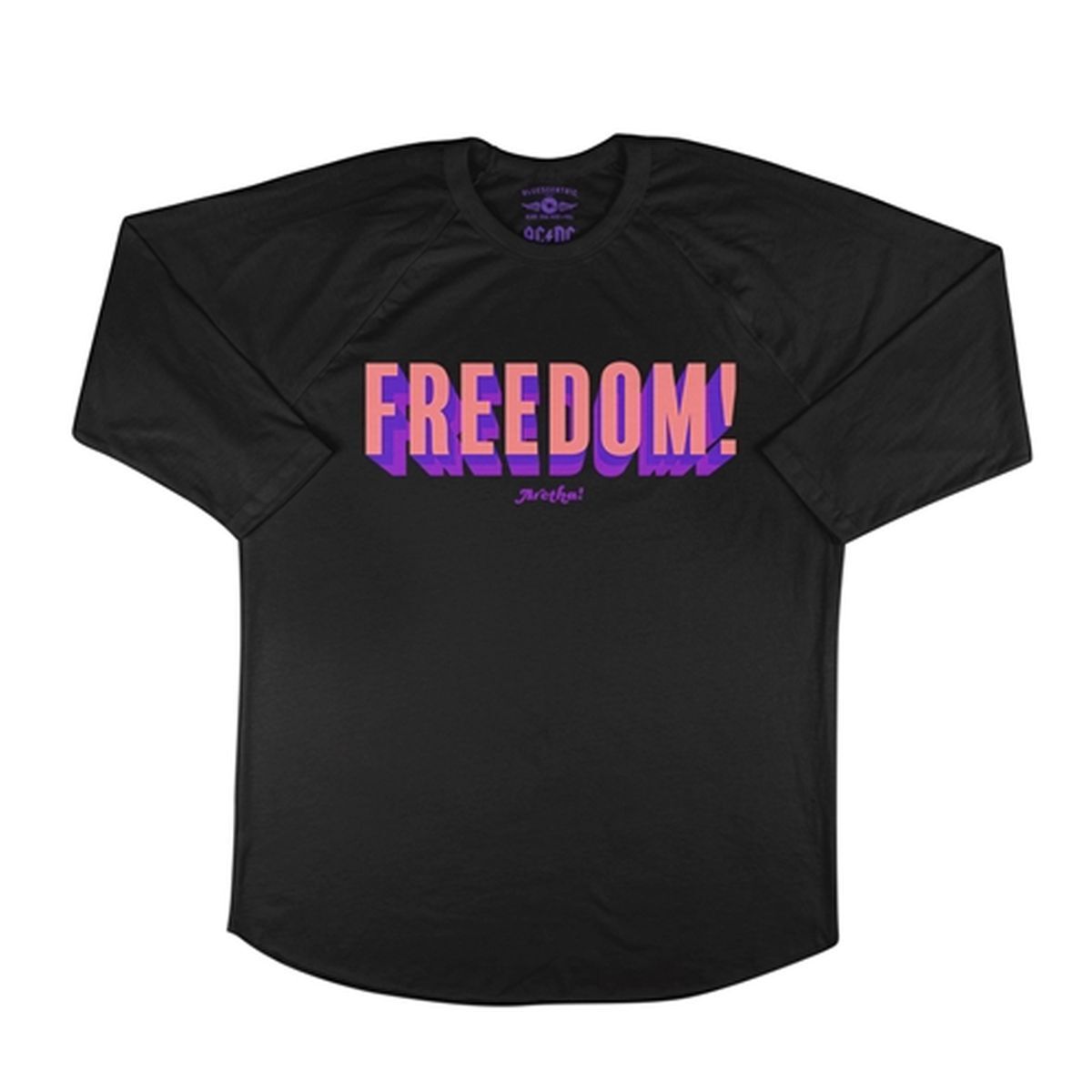 Aretha Franklin Freedom! Baseball T-Shirt